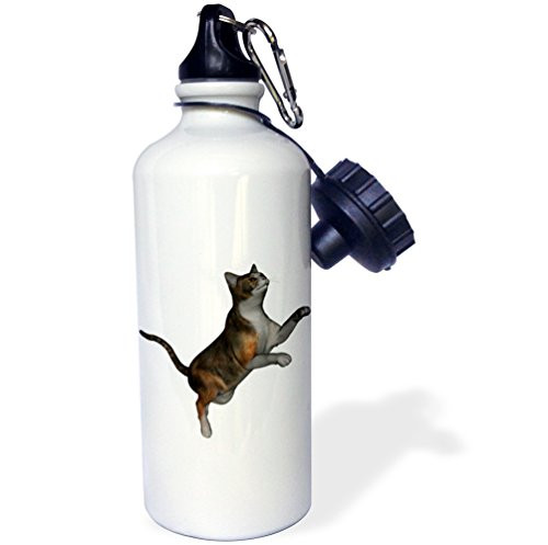 3dRose wb_150865_1"Jumping Calico Cat" Sports Water Bottle, 21 oz, White 3dRose wb_150865_1"Jumping Calico Cat" Sports Water Bottle, 21 oz, White