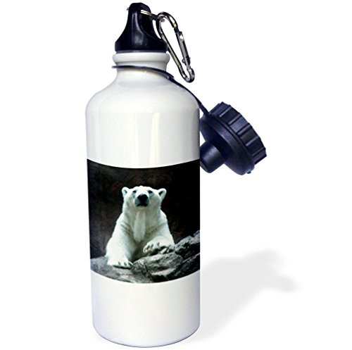 3dRose wb_12207_1 Polar Bear Resting - Sports Water Bottle, 21 oz, White