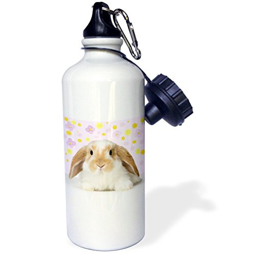 3dRose wb_4807_1 Shih Tzu Puppy Sports Water Bottle, 21 oz, White 3dRose wb_4807_1 Shih Tzu Puppy Sports Water Bottle, 21 oz, White