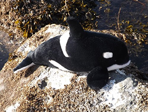 Stuffed Toy Orca Whale - 16" Plush Killer Whale from This Place is a Zoo Stuffed Toy Orca Whale - 16" Plush Killer Whale from This Place is a Zoo