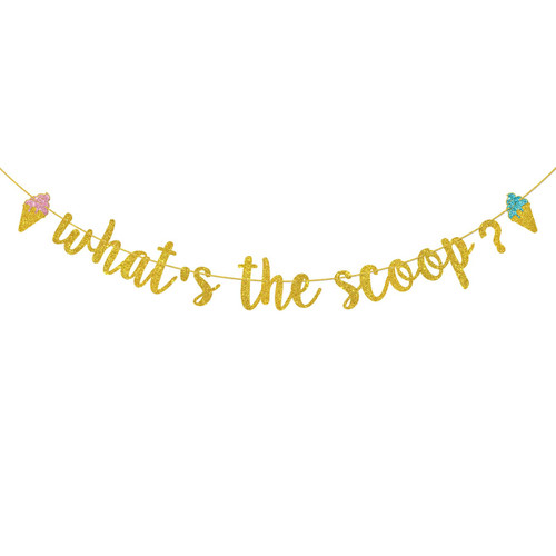 Helewilk Gold Glitter What's the Scoop Banner, Ice Cream Theme Baby Shower/Gender Reveal Party Decoration Garland, Pregnant Baby Announcement Party Bunting Banner
