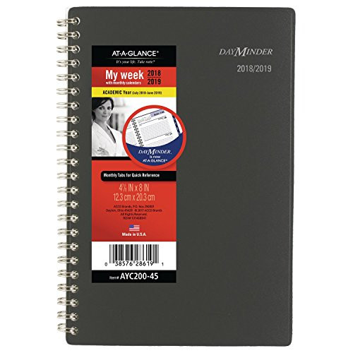 AT-A-GLANCE 2018-2019 Academic Year Weekly & Monthly Planner, Small, 4-7/8 x 8, DayMinder, Charcoal (AYC20045)