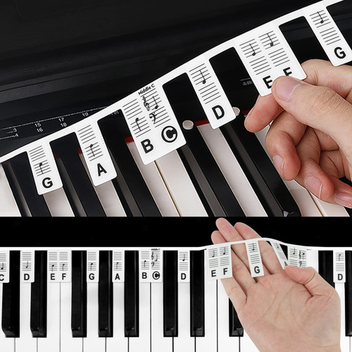 Removable Piano Keyboard Note Labels for Learning, Silicone Piano Keyboard Stickers for Beginners, 88-Key Full Size Piano Notes Guide with Box, Reusable Piano Key Music Notes Letter Label, Black Removable Piano Keyboard Note Labels for Learning, Silicone Piano Keyboard Stickers for Beginners, 88-Key Full Size Piano Notes Guide with Box, Reusable Piano Key Music Notes Letter Label, Black