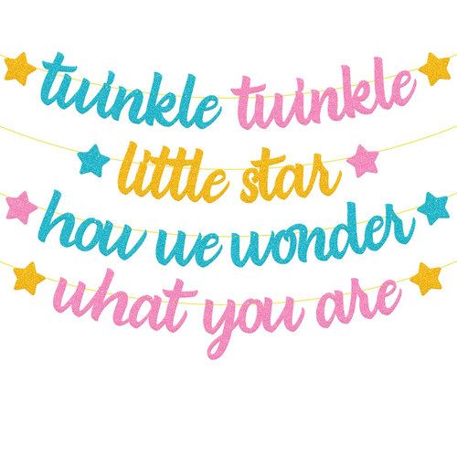 Twinkle Twinkle Little Star Banner How We Wonder What You Are Banner Gender Reveal Birthday Party Decoration Pink or Blue Boy or Girl He or She Theme Baby Shower Birthday Party Supplies