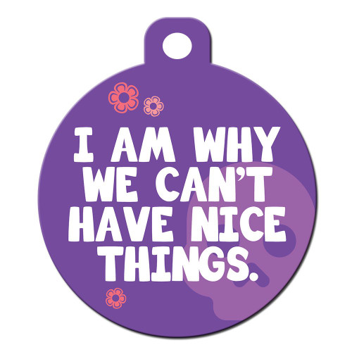 Big Jerk Custom Products Ltd Funny Dog Cat Pet ID Tag - I Am Why We Can't Have Nice Things - Personalize Col.