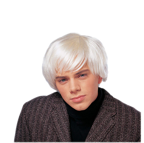 Costume Culture Men's Artist Wig, Platinum, One Size