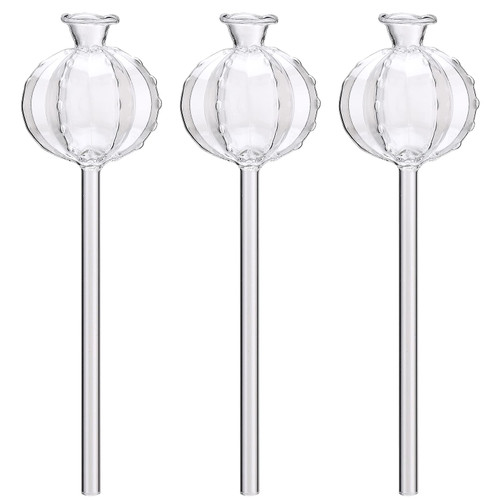 ZWMBYN Catcus Plant Self Watering Globes, Hand Blown Clear Glass Watering Bulbs Device for Indoor Outdoor Plants, Automatic Plant Waterer Self Watering Planter Insert Spikes for Home Garden Decor ZWMBYN Catcus Plant Self Watering Globes, Hand Blown Clear Glass Watering Bulbs Device for Indoor Outdoor Plants, Automatic Plant Waterer Self Watering Planter Insert Spikes for Home Garden Decor