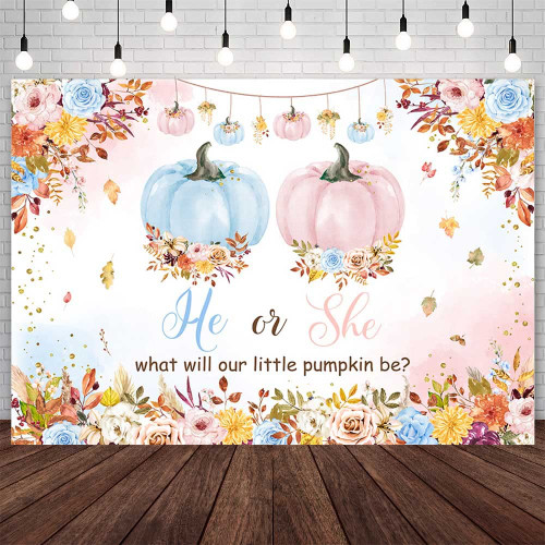AIBIIN 7x5ft Pumpkin Gender Reveal Backdrop Pink or Blue Pumpkin Gender Reveal Photography Background He or She What Will Our Little Pumpkin Be Party Decoration Banner Photo Shoot Props AIBIIN 7x5ft Pumpkin Gender Reveal Backdrop Pink or Blue Pumpkin Gender Reveal Photography Background He or She What Will Our Little Pumpkin Be Party Decoration Banner Photo Shoot Props
