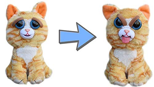 Feisty Pets Expressions Silly Princess Pottymouth the Cat Sticks her Tongue Out