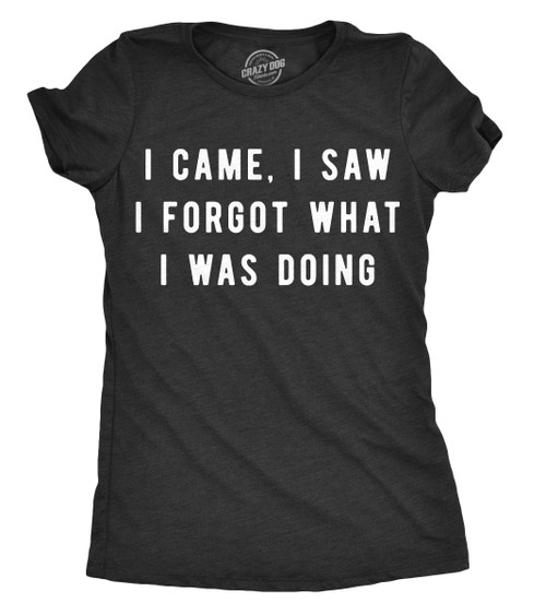 Womens I Came I Saw I Forgot What I was Doing Tshirt Funny Sarcastic Tee for Ladies Funny Womens Tee for Sarcastic People with Adult Humor Black XL