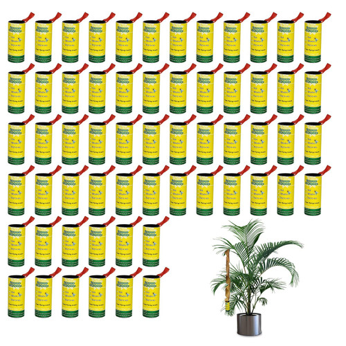 60 Pack Fly Traps for Indoors Outdoor, Fly Strips Paper, Sticky Hanging Fly Tape Catcher Ribbon, Fruit Fly Gnat Trap Killer