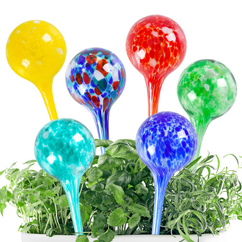 Nhmpretty Plant Watering Globes 6 Pack Hand-Blown Colorful Glass Plant Watering Devices Self Watering Bulbs for Plants for Indoor and Outdoor Use Water Globes for Plants Nhmpretty Plant Watering Globes 6 Pack Hand-Blown Colorful Glass Plant Watering Devices Self Watering Bulbs for Plants for Indoor and Outdoor Use Water Globes for Plants