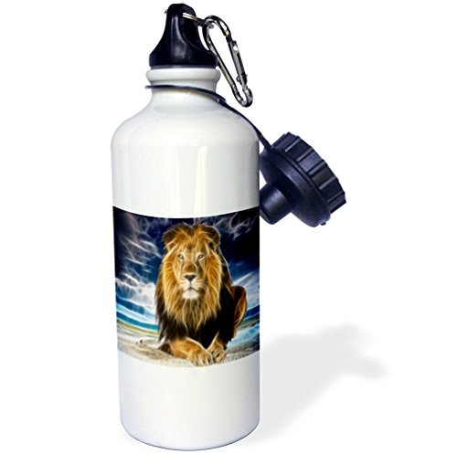 3dRose wb_167119_1 King Of The Jungle, Stunning Lion On The Prairie With Digital Affects Sports Water Bottle, Multicolor, 21 oz