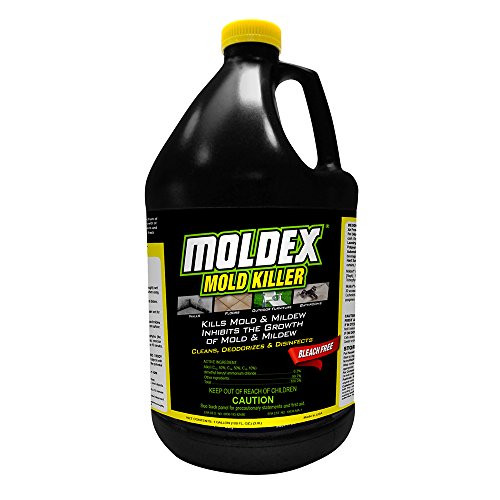 ENVIROCARE 5520 Moldex Disinfectant, 1-Gallon