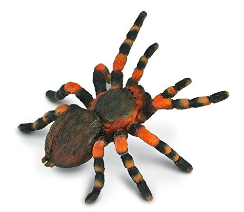 CollectA Insects Mexican Redknee Tarantula Toy Figure - Authentic Hand Painted Arachnid Model