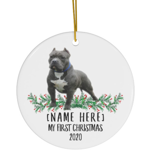 Lovesout Personalized Name Custom Year American Bully Blue Grey New Years 2024 Decorations Gifts First 2023 Christmas Tree Ornaments Ceramic Circle