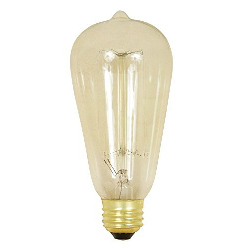 Feit Electric BP60ST19/RP 60 Watt 120 Volt Clear Vintage Style Light Bulb