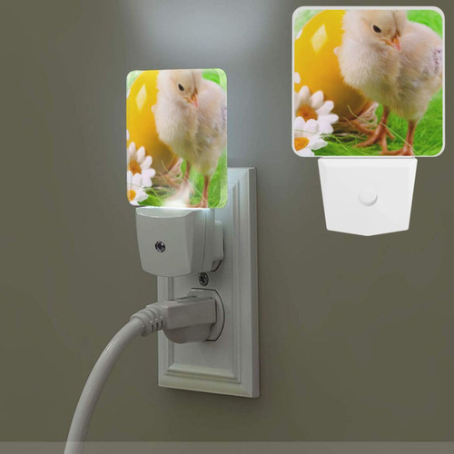 Night Lights Plug into Wall with Dusk to Dawn Sensor Night Light Daisy Egg LED Nightlight for Bathroom Plug in Night Light Auto-On/Off Plug in Nightlights for Hallway Bedroom