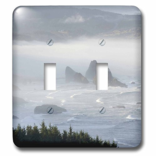 3dRose lsp_93695_2 Usa, Oregon, Gold Beach Foggy Morning on Seashore Us38 Bja0712 Jaynes Gallery Light Switch Cover