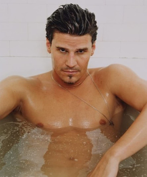 David Boreanaz - 18X24 Poster FCA #FCA538069