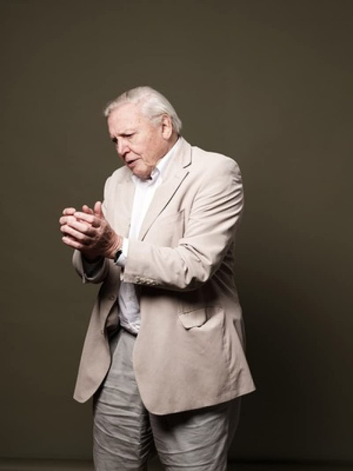David Attenborough - 18X24 Poster FCA #FCA638218