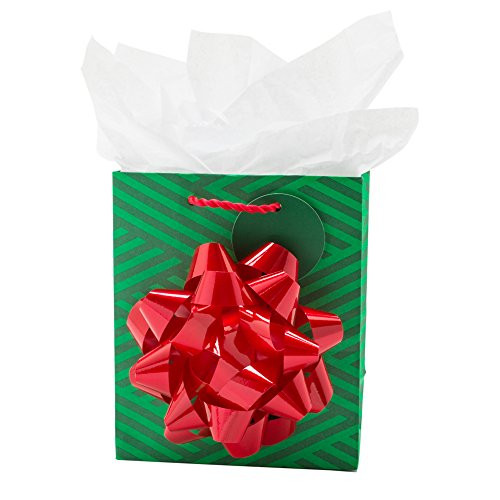 Hallmark Small Christmas Gift Bag with Tissue Paper (Green) Hallmark Small Christmas Gift Bag with Tissue Paper (Green)