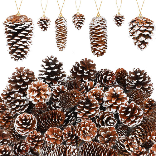 TWOWYHI 48PCS Pinecones Ornaments Natural Snow White Christmas Pine Cones Bulk with String Hanging Ornament Pine Cones for Christmas Tree Pine Cones Decorations Home Holiday Party DIY Craft