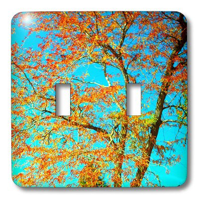 3dRose  lsp_79800_2 A Very Blue Sky with A Fall Colored Tree In Front of It Double Toggle Switch