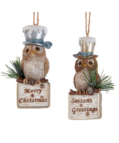 Kurt S. Adler Rustic Glam Owl with Hat Ornaments, 2 Assorted