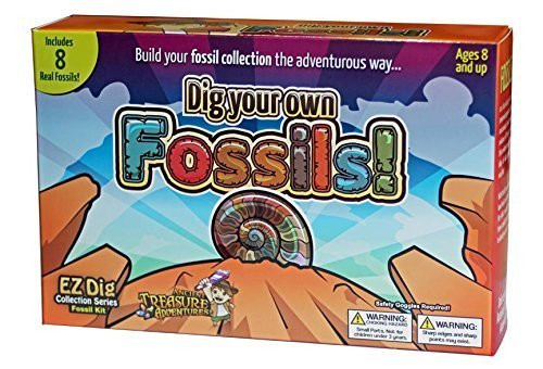 Dig Your Own Fossils! Easy to Dig Includes 8 Real Fossils