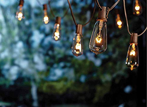 SkrLights 20Ft Outdoor Patio String Lights,Set of 20 Glass ST40 Edison Style Bulb String Lights Garden/Backyard Party/Wedding Indoor String Lights(Plus 1 Extra Bulbs)-Brown