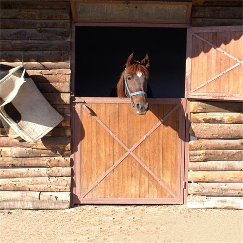 AOFOTO 6x6ft Horses in Stable Backdrop Vintage Ranch Barn Cabin West Wild Farm Stall Photography Background Western Cowboy Theme Travel Birthday Kentucky Derby Party Events Decor Photo Studio Props