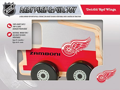 MasterPieces NHL Detroit Red Wings Push & Pull Toy