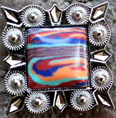 TackRus 4 Conchos Rhinestone Horse Saddle Western Berry CO110