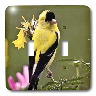 3dRose lsp_48669_2 Double Toggle Switch with Wild Bird Yellow Finch in Summer Art For Your Home Or Office