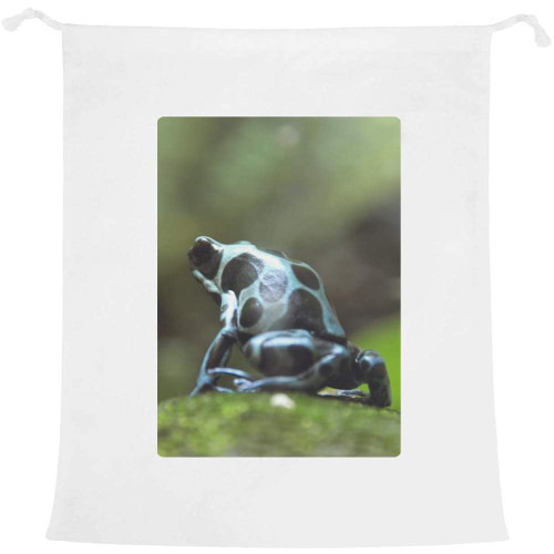 Azeeda 'Poison Dart Frog' Laundry/Washing/Storage Bag (LB00004859)
