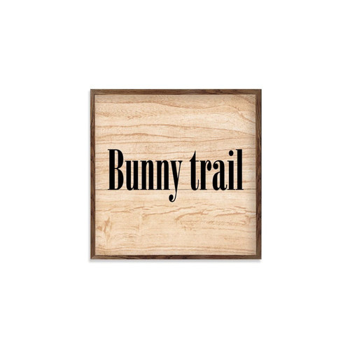 by Unbranded Wooden Plaque Sign with Sayings Retro Bunny Trail Signs Decorative for Nursery Decor Bedroom Laundry Room Bathroom Wall Art Decor Above Bed Decor 12x12
