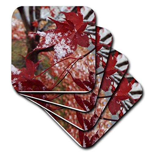 3dRose cst_185395_2 Red Maple Leaves with Snow-Soft Coasters, Set of 8