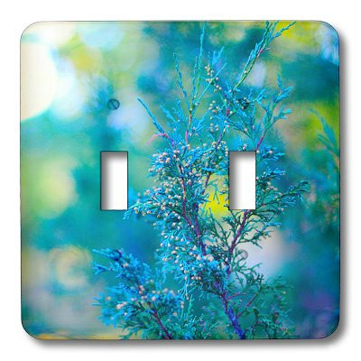 3dRose lsp_64883_2 A Blue Colored Plant Shot Close Up In The Forest Double Toggle Switch