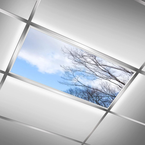 Tree in Cloudy Blue Sky,White Backg,Light Diffusers,Light Diffuser to Protect Against Blue Light and Glare-Drop Ceiling Fluorescent Decorative,2'x4'