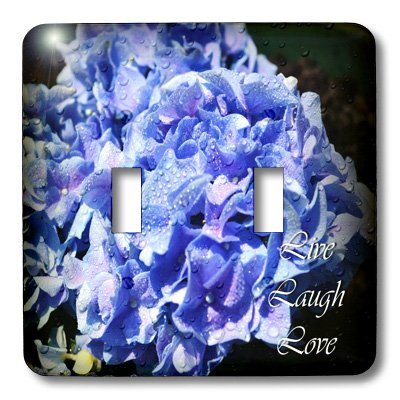 3dRose lsp_22506_2 Live Laugh Love Blue Hydrangeas with Rain Drops Double Toggle Switch