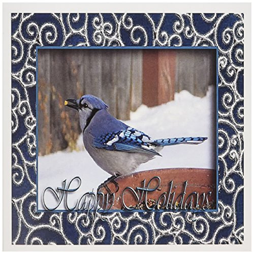 3dRose Blue Jay in the Winter, Happy Holidays - Greeting Cards, 6 x 6 inches, set of 12 (gc_15225_2)