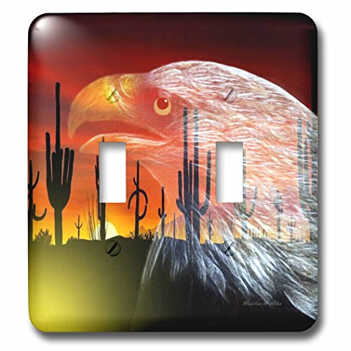3dRose LLC lsp_101123_2 Eagle Cactus Protector 0f The Desert Double Toggle Switch