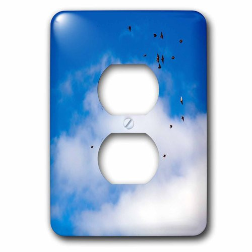 3dRose lsp_213865_6 Blue Sky with Clouds and Birds Photograph 2 Plug Outlet Cover 3dRose lsp_213865_6 Blue Sky with Clouds and Birds Photograph 2 Plug Outlet Cover