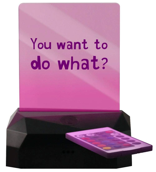 You Want to do What? - LED Rechargeable USB Edge Lit Sign