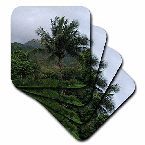 3dRose cst_31441_2 Hawaii Palm Tree Travel Photography Soft Coasters, Set of 8