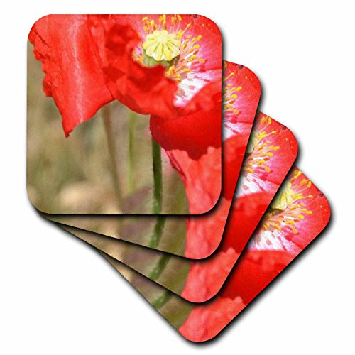 3dRose cst_30905_2 New View Red Poppy Flowers-Soft Coasters, Set of 8