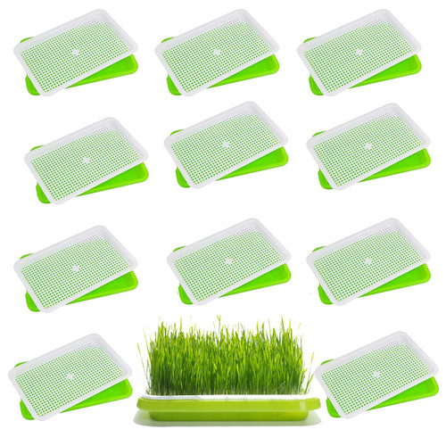shells 20 Pcs Seed Sprouter Tray with Drain Holes Nursery Tray Seed Germination Propagation Trays Healthy Wheatgrass Microgreens Growing Trays Grower Storage Sprouting Tray for Home Office Gardening