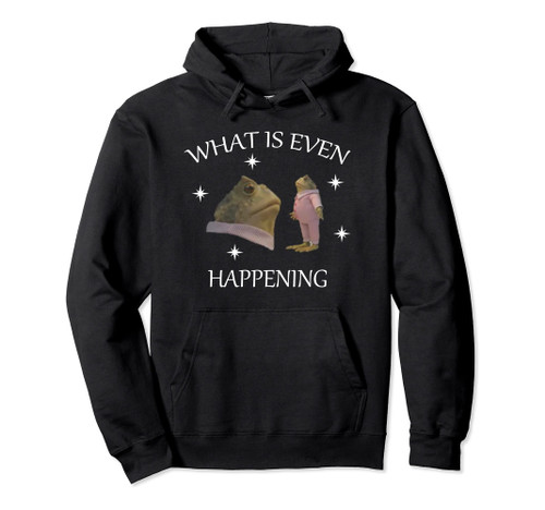 What Is Even Happening frog Pullover Hoodie