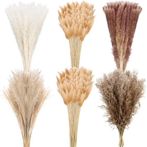 330 Pcs Pampas Dried Decor Grass 17 White Pampas Natural Rabbit Tail Grass Dried Reed Brown Dried Flower Fluffy Pampas Bouquet Boho Flower Arrangements for Home Decor Wedding Flower Plants